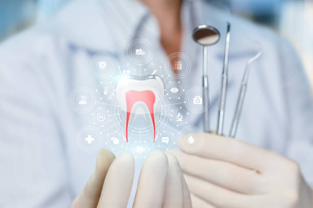  Trenton, TN Dental Services Pros